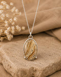 Picture Jasper